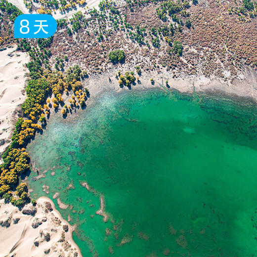 新线首发｜穿越塔克拉玛干沙漠 探秘达里雅布依 遇见南疆胡杨林 60公里徒步露营 8日 商品图10