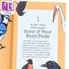 【中商原版】鸟语 通过声音来认鸟的有趣方法 英文原版 Bird Talk Hilariously Accurate Ways to Identify Birds Becca 商品缩略图2