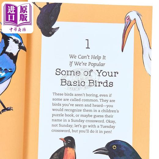 【中商原版】鸟语 通过声音来认鸟的有趣方法 英文原版 Bird Talk Hilariously Accurate Ways to Identify Birds Becca 商品图2