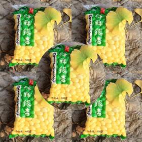 银杏果新货新鲜银杏仁白果仁真空保鲜白果去壳开心白果米