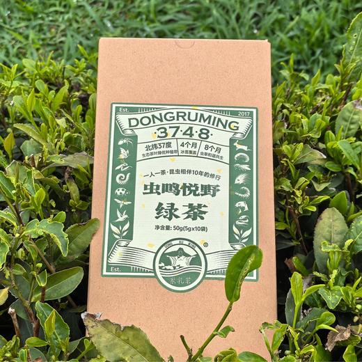乳山生态绿茶 酵素生态六不用种植50g（5g*10袋）/袋 商品图0