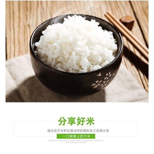 粮佰年绿色长粒香大米10kg
（扶贫助农产品） 商品图1