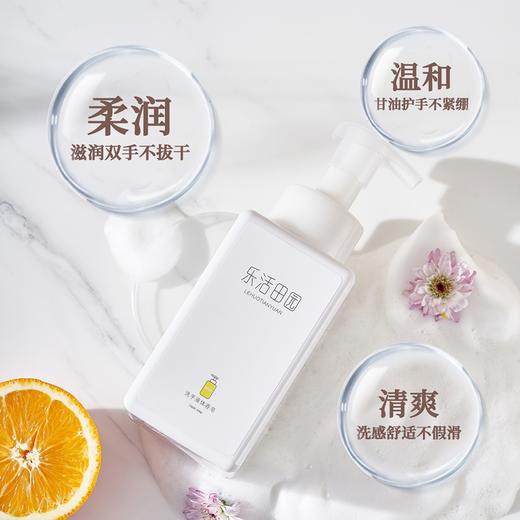 洗手液体香皂  乐活田园洗手液皂液【京东快递送货上门】 商品图2