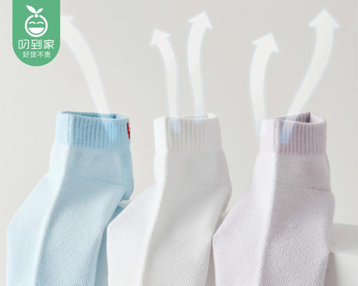 英国W.FOX情侣款10A抗菌运动短袜-女款混色（6双/盒 适合35-40码） 商品图1