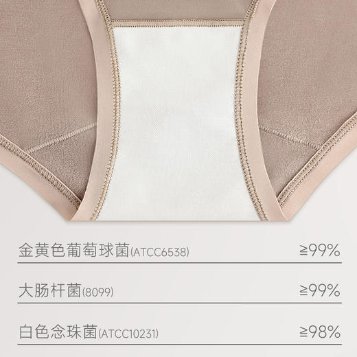 【真舒服】ChrissieMorris 颗里轻暖系列保暖无尺码中低腰内裤3条组合 裆部7A抗菌 商品图5