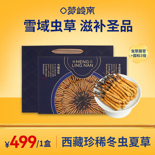 【雪域虫草 滋补圣品】梦岭南冬虫夏草16支礼盒装4g 西藏那曲珍稀原产 送长辈送父母 商品图0