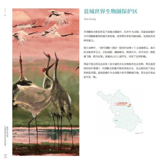 画游生态中国——中国生物圈保护区网络成员油画作品集（第一辑） 商品图3