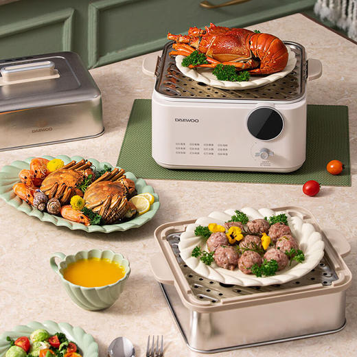 大宇多功能电蒸锅DYZL-12L35【HSZQ5.0】 商品图5