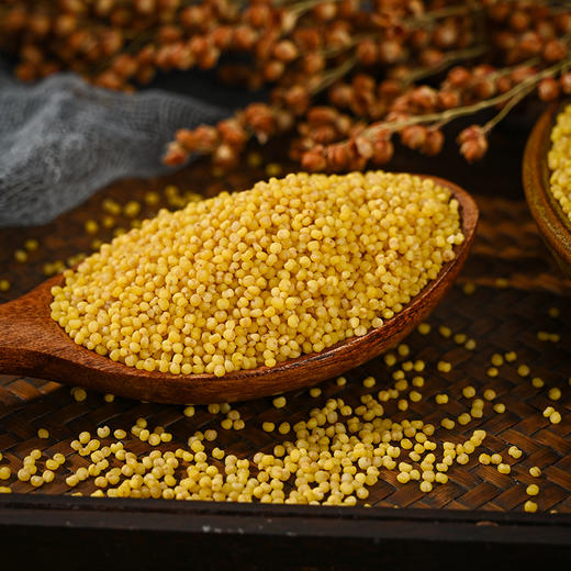 精选山西杂粮布袋小米五谷杂粮农家粗粮小米粥2500g袋装 商品图2