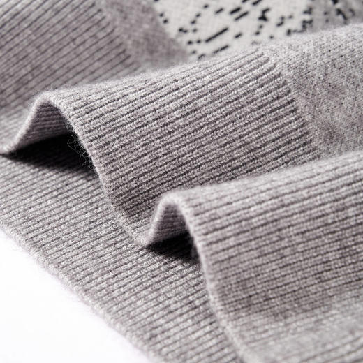 NPC潮牌CC系列刺绣苹果小狗印花针织毛衣男童趣秋上新CC59SW02 商品图2