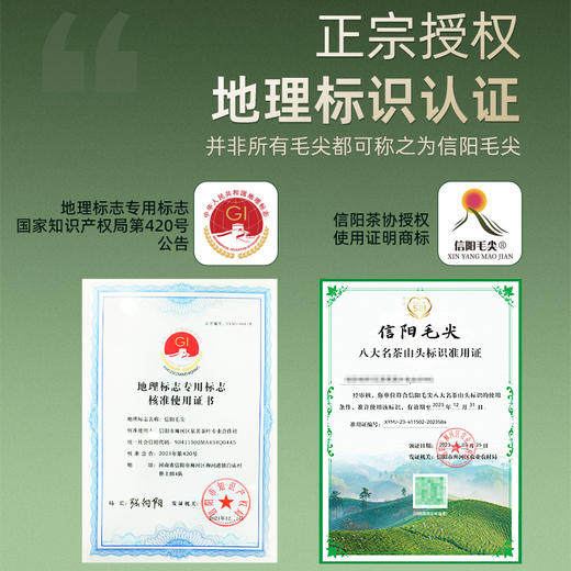 【2026年新茶预售】茶马世家丨 河南信阳毛尖 名优绿茶 特级 125g 罐装  双罐配手提袋 预计4月10日发货 商品图4