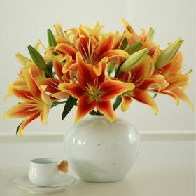 【云南基地新鲜直采】皇冠亚百合鲜花花束 高端无香（不带盆）