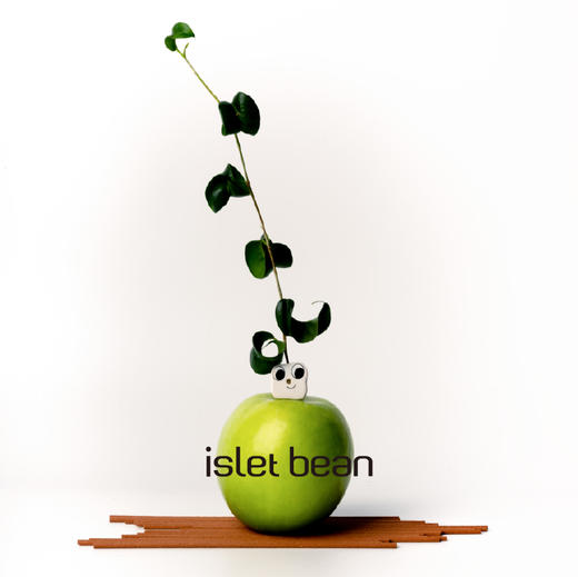 isletbean豆岛 印度迈索尔老山檀现代线香 室内扩香mini香插 商品图1