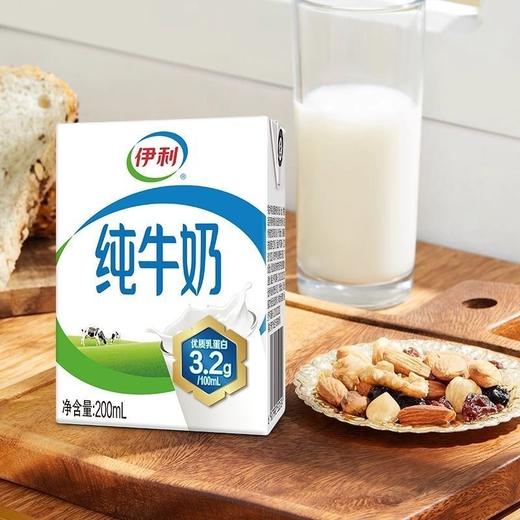 【2提十堰主城区包邮】优质乳蛋白3.2g伊利纯牛奶 200ml*24瓶/提 商品图3