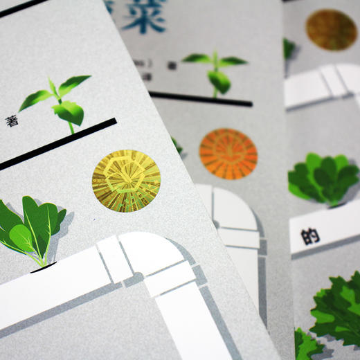 无土栽培安全蔬菜全程图解 商品图4