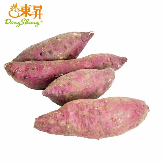 东升1号蜜薯 中大果3斤/10斤 黄心蜜薯栗粉香甜广州发货 商品图5