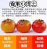 陕西火晶柿子 商品缩略图4