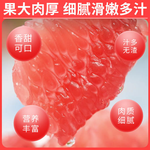 新鲜现摘红蜜柚红心柚子新鲜当季水果现摘送礼 商品图1