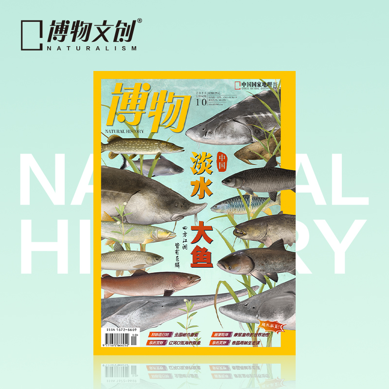 博物杂志 2025年10月刊  淡水大鱼