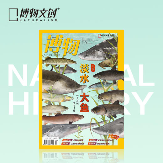 博物杂志 2025年10月刊  淡水大鱼 商品图0