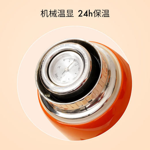 T9 心想事橙礼盒 橙色焖茶杯+焖泡茶组合 105g*2盒【HSZQ10.0】 商品图3