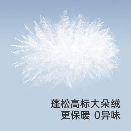 【商场同款】英氏儿童羽绒服冬季男童抗菌羽绒连体衣保暖新款超韧绒 商品图1