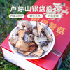 正宗山西宁武管涔山特产银盘蘑菇野生蘑菇食用菌类煲汤炒菜家用送礼礼盒装 商品缩略图3
