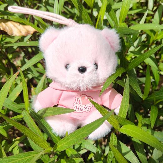 华科大毛绒卫衣纪念小熊 商品图7