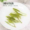 【2026年新茶预售】茶马世家丨 河南信阳毛尖 名优绿茶 特级 125g 罐装  双罐配手提袋 预计4月10日发货 商品缩略图2