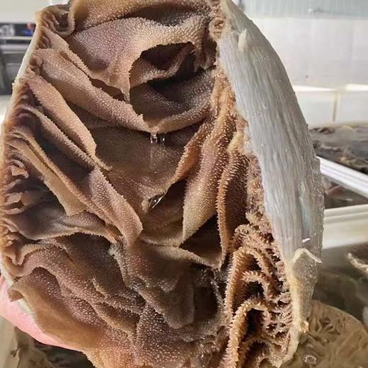 【会员专享】思源大健康毛肚 32.5元/斤，称重退补差价 商品图3