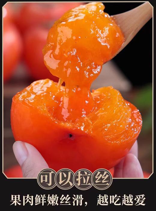 陕西火晶柿子 商品图3