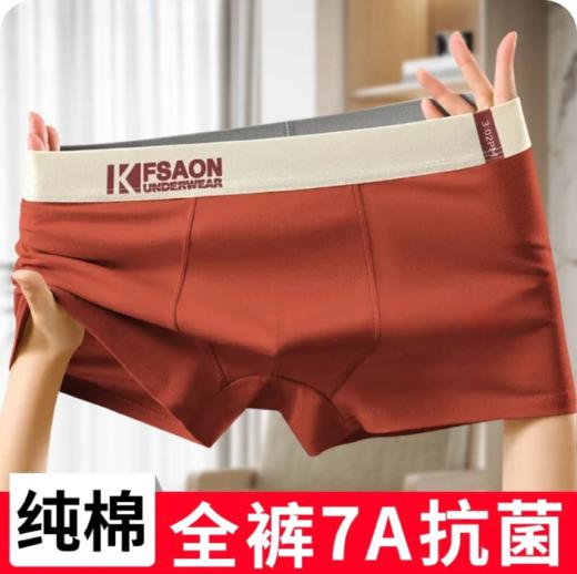 FENTENG芬腾高奢男内裤精梳棉五条装 商品图4