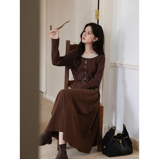 鹿向南「苏州旧信」秋棕色收腰长袖连衣裙秋季新款气质显瘦长裙女 商品图4