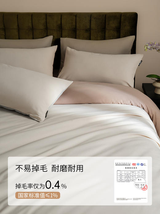 佳丽斯磨毛四件套全棉纯棉秋冬季床单三件套床上用品加厚保暖被套 商品图3