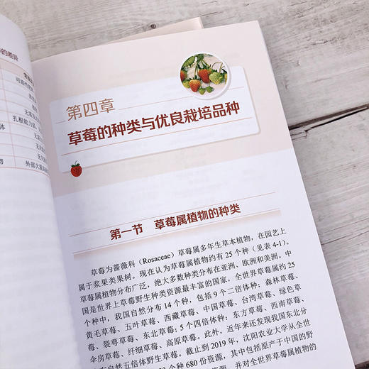 有机草莓栽培实用技术（第二版） 商品图5