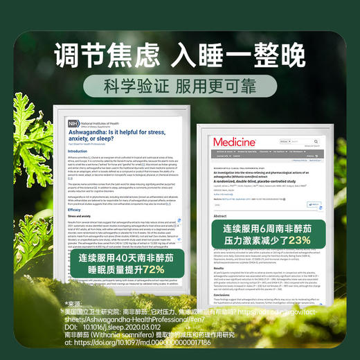Natroceutics纳苏可南非原装进口醉茄植物活性胶囊60粒/瓶 商品图4