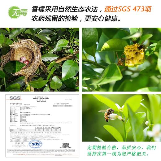 香檬原汁 果有果爱原汁台湾香檬进口非浓缩青柠冲饮原浆【京东快递送货上门】 商品图6