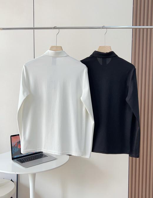 点此购买 迪桑特春秋季高尔夫男子长袖POLO衫 37 330914 商品图2