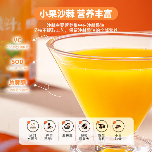 沙棘果汁饮料山西特产沙棘汁野生沙棘小果压榨独立罐装整箱 商品图1