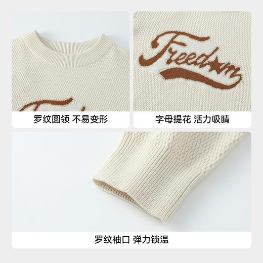 【实体店同款】男童圆领棉线衫冬季新款安奈儿童装AB544032 商品图4