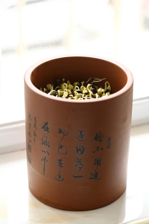 紫陶芽乐罐 光能量波技术发芽罐 商品图3