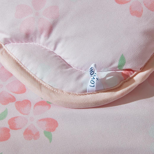 LOVO乐蜗XS NT-  洋洋繁花纤维春秋被  220*240 商品图5