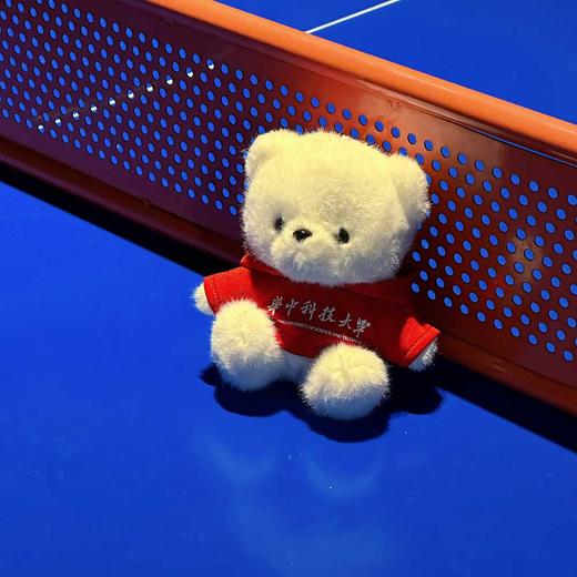华科大毛绒卫衣纪念小熊 商品图11