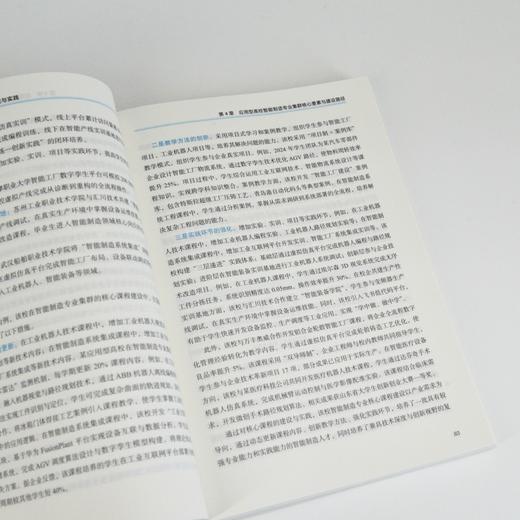 应用型高校智能制造专业集群建设研究与实践 智能数字网络化转型 智能制造经济高质量发展核心引擎 产业经管书籍 商品图1