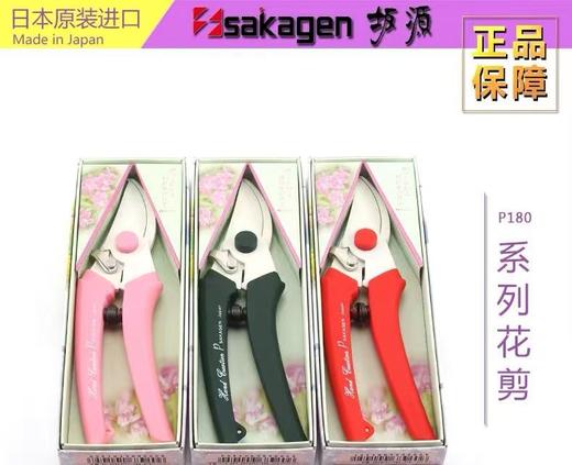 坂源枝剪（颜色随机） 商品图1