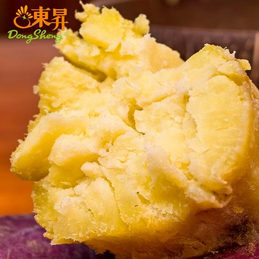 东升1号蜜薯 中大果3斤/10斤 黄心蜜薯栗粉香甜广州发货 商品图2