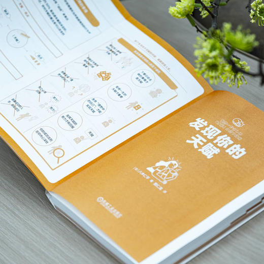 官网 发现你的天赋 如何找到想做的事作者八木仁平 自我认知法 才能培养 自我调节成功励志书籍 商品图3
