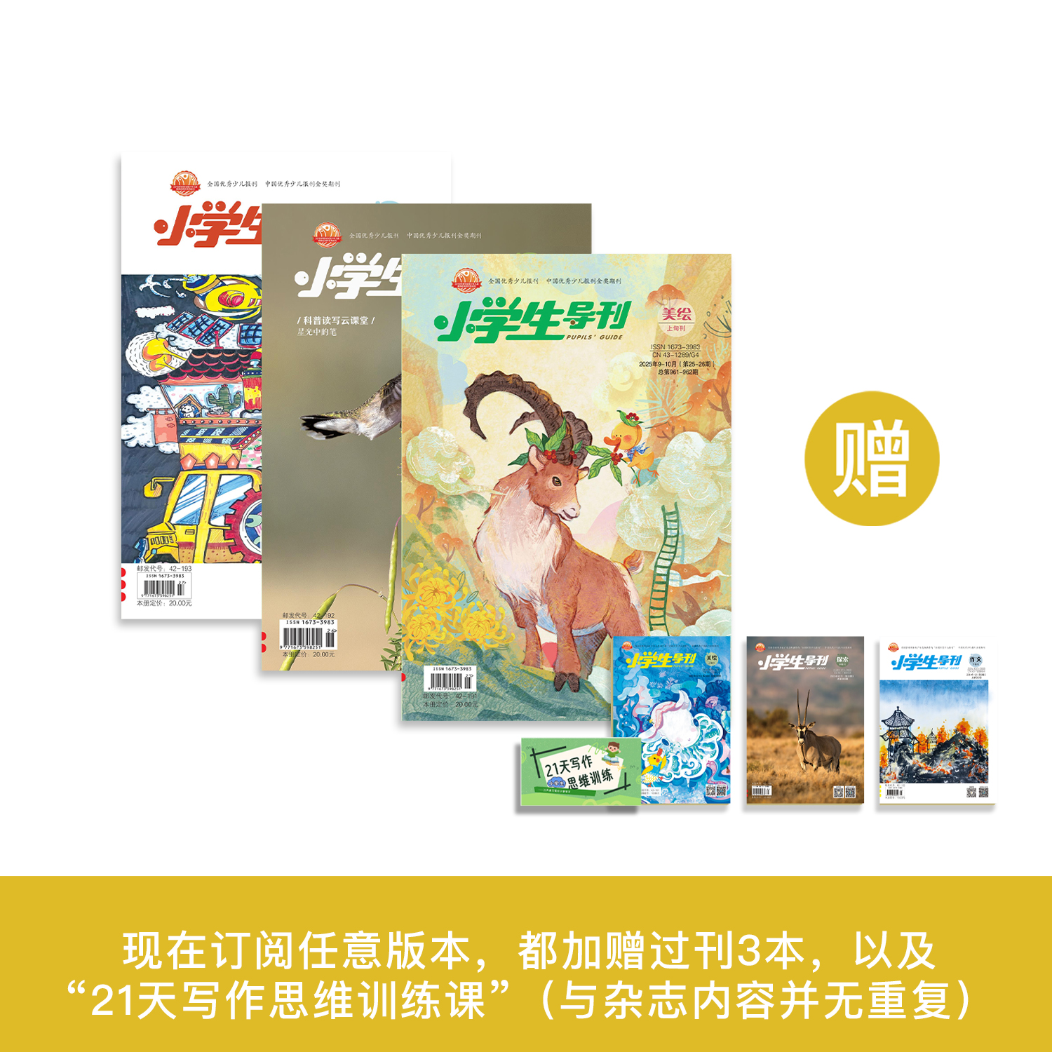 《小学生导刊》美绘/探索/作文  12期征订