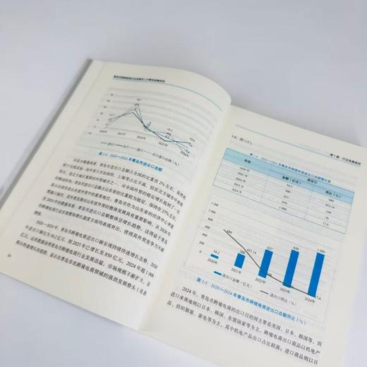 青岛市跨境电商行业发展与人才需求战略研究 政府中高院校企业研究政策产业教育人力资源机制调整数字化产业经管书籍 商品图3