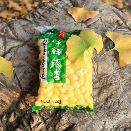 银杏果新货新鲜银杏仁白果仁真空保鲜白果去壳开心白果米 商品图5